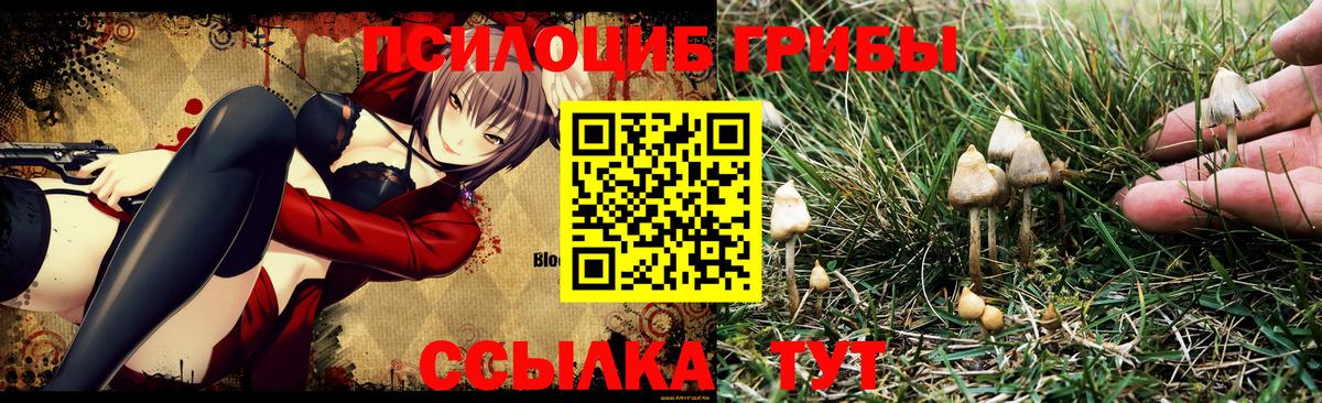Лыткарино  Галлюциногенные грибы Magic Shrooms  Вход с VPN  Галлюциногенные грибы мицелий 