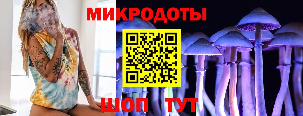 Галлюциногенные грибы Psilocybine cubensis Лыткарино